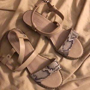 Top shop alligator print sandals